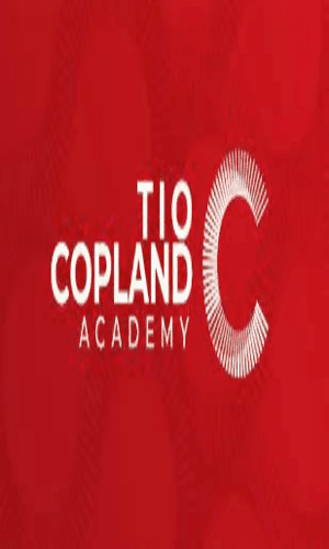 CURSO DE TRADING OPCIONES BINARIA TIO COMPLAND ACADEMY