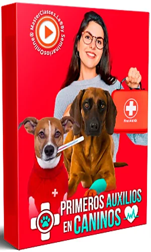 CURSO MASTER CLASS PRIMEROS AUXILIOS CANINOS