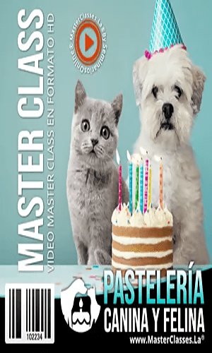 CURSO MASTER CLASS PASTELERIA CANINA Y FELINA