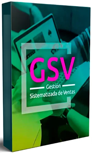 CURSO GESTION SISTEMATIZADA VENTAS AGUSTIN CASORZO