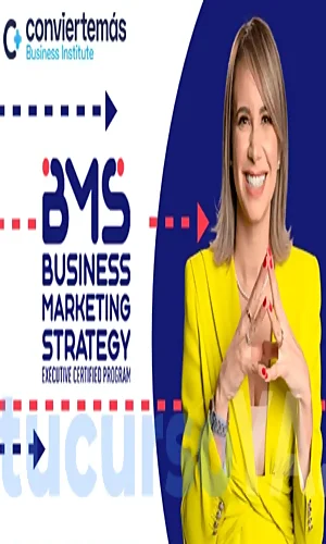 CURSO BUSINESS MARKETING STRATEGY VILMA NUÑEZ