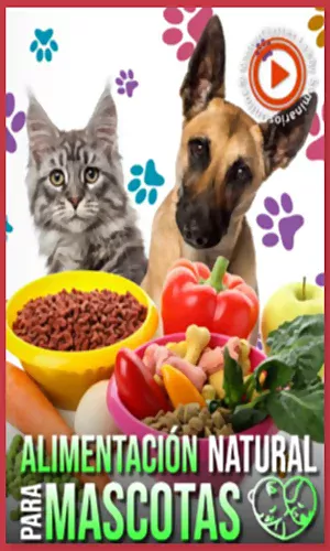 CURSO ALIMENTACIÓN NATURAL PARA TUS MASCOTAS