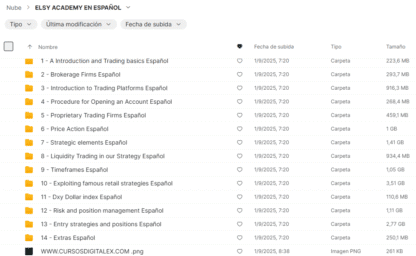 CURSO DE TRADING ELSY ACADEMY TRADUCIDO A VOZ EN ESPAÑOL - Image 2